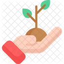 Sprout Plant Agriculture Icon