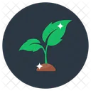Plant Sapling Ecology Icon