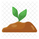 Plant Sprout Seed Growth Icon