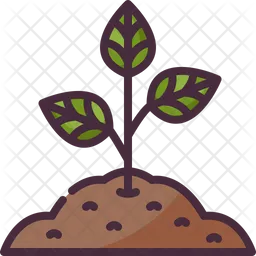 Sprout  Icon