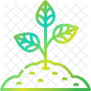 Sprout Tree Joshua Tree Icon