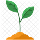 Sprout Plant Ecology Icon