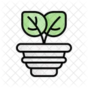 Sprout Plant Bud Icon