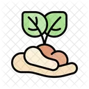 Sprout Plant Bud Icon