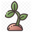 Sprout Plant Seed Icon