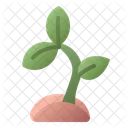 Sprout Plant Seed Icon