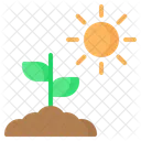 Sprout Plant Sun Icon