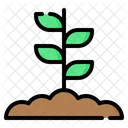 Sprout Plant Leaf Icon