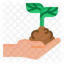Sprout Plant Planting Icon