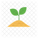 Sprout Plant Gardening Icon