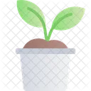 Spring Season Sprout Icon
