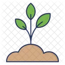 Plant Sprout Leaves Icon
