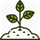 Sprout Tree Joshua Tree Symbol