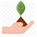 Sprout Plant Growth Plant Icon
