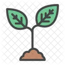 Plant Agriculture Growing Icon