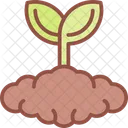 Sprout Nature Leaf Icon