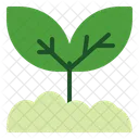 Sprout  Icon