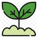 Sprout  Icon