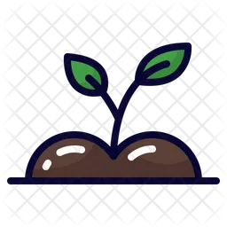 Sprout  Icon