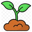 Sprout Growing Plant Seed Icon