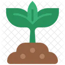 Sprout Plant Seedling Icon