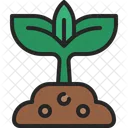 Sprout Plant Seedling Icon