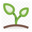 Sprout Herb Plants Icon