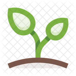 Sprout  Icon