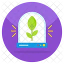 Sprout  Icon