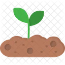 Sprout  Icon