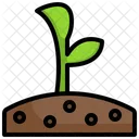 Sprout  Icon