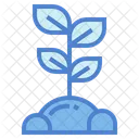 Sprout  Icon