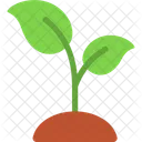 Sprout Gardening Agriculture Icon
