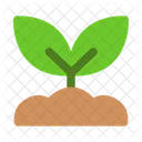 Sprout Plant Nature Icon