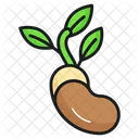 Sprout Seed Plant Icon