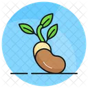 Sprout Seed Plant Icon