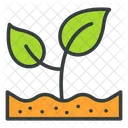 Growth Plant Seedling Icon