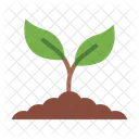 Sprout Plant Leaves Icon