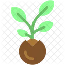 Sprout Leaf Plant Icon