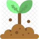 Sprout Nature Tree Icon