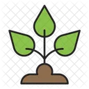 Plant Nature Ecology Icon