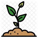 Sprout Growing Seed Farm Garden Tree Nature Environment Icon