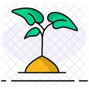 Sprout Plant Nature Icon