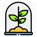 Sprout Farming And Gardening Botanical Icon