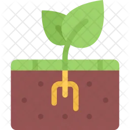 Sprout  Icon