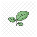 Sprout Green  Icon
