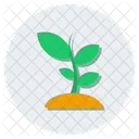 Plant Eco Ecology Icon
