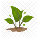 Sprout Plant Nature Icon