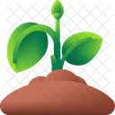 Sprout Plant Nature Icon