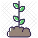 Sprout Icon